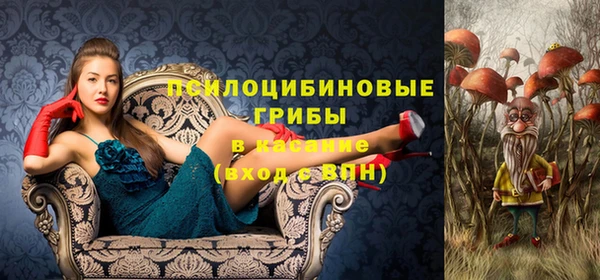 2c-b Абдулино