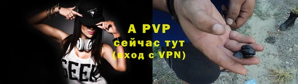 стаф Абаза