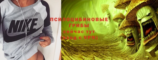 стаф Абаза