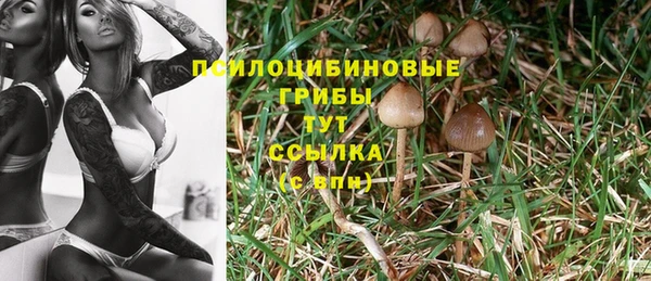 2c-b Абдулино