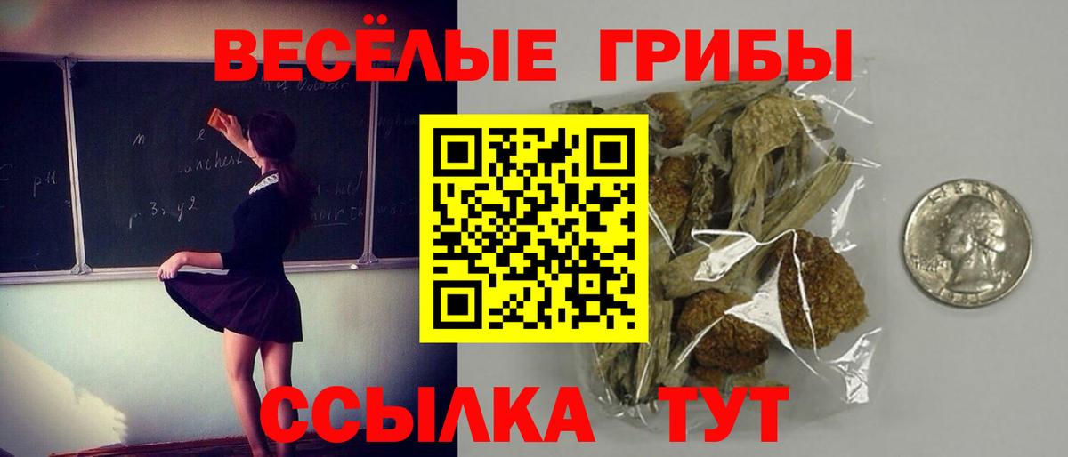 Псилоцибиновые грибы GOLDEN TEACHER  Вход с VPN  сколько стоит  Лесозаводск 