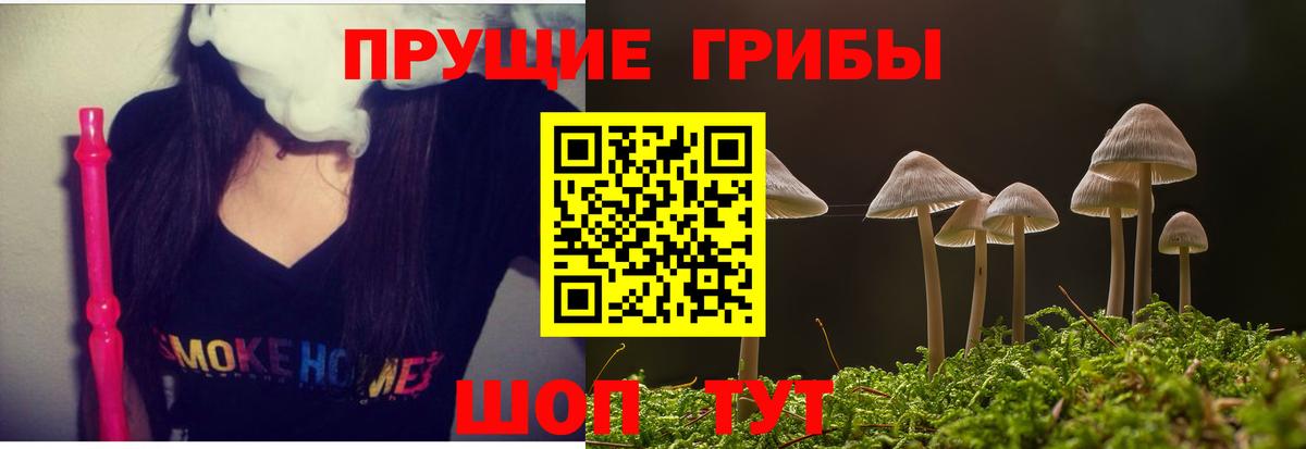 Псилоцибиновые грибы ЛСД Лесозаводск